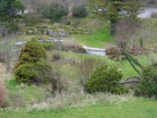 Determination of chlorophyll concentration in a pond